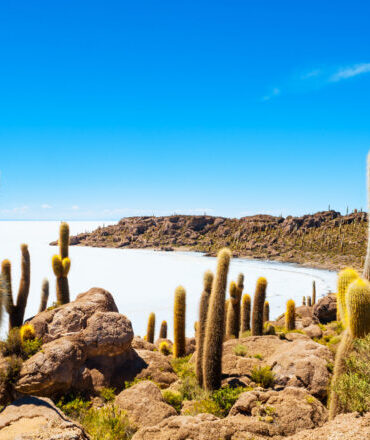 incahuasi island salar de uyuni (3)