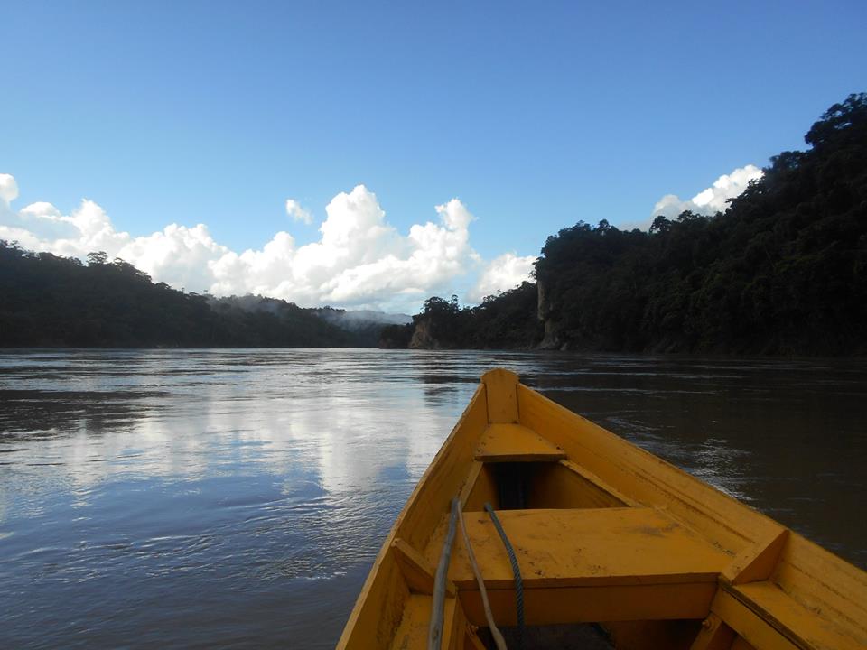 beni river.jpg
