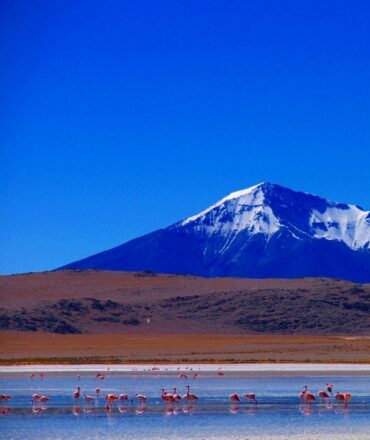 ramillete de lagunas laguna hedionda scaled e1776382972888.jpg